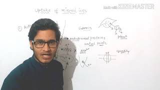 Mechanisms of uptake of mineral ions in plants [upl. by Letha]