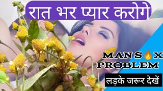 रात भर प्यार करेंगे बस इस जडी़ बूटी को बस खा लेAnacyclus pyrethrum benefits in Hindi [upl. by Charyl]