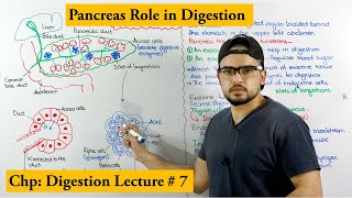 Pancreas and its functions [upl. by Ahcarb]