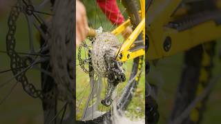 ASMR Bike Drivetrain Degreasing 🤤🔊 mtb asmr shorts [upl. by Robert353]