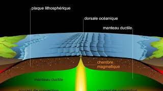 Expansion des fonds océaniques [upl. by Anead]