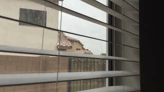 Threat of Dust Storm In Chandler AZ July 31 2024 [upl. by Ididn]