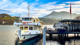 A spectacular winter cruise across Lake Lucerne 🇨🇭 From Lucerne to Weggis Rigi [upl. by Boswell470]