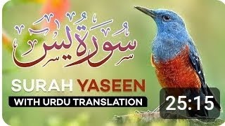 surah Yasmin Full with Urdu translation [upl. by Ennavoj]