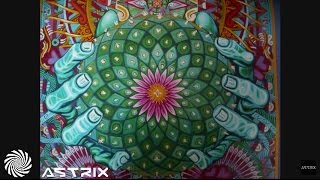 1200 Micrograms  Mescaline Astrix Remix [upl. by Harrak]