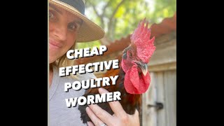 HOW TO WORM CHICKENSTREATING INTERNALampEXTERNAL PARASITES in POULTRY [upl. by Devland]