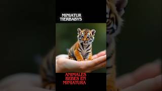 lustige Tierbabys Video Miniatur Tierbabys Animales bebes en miniatura [upl. by Jayme]