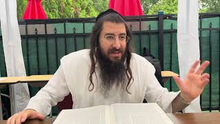 Bava Basra 93 Harav Chaim Ozer Geldzahler [upl. by Rinum603]