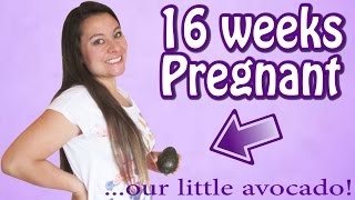 FEELING YOUR BABY MOVE FOR THE FIRST TIME 16 WEEKS PREGNANT [upl. by Eilsew]