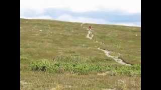 Ramundberget MTB singletrack [upl. by Ruiz83]