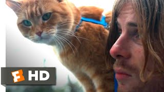 A Street Cat Named Bob 2016  Back on the Streets Scene 810  Movieclips [upl. by Aihsot]