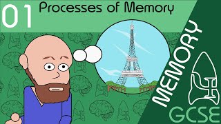 Processes of memory  Memory GCSE Psychology AQA [upl. by Hannaj]