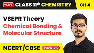 VSEPR Theory  Chemical Bonding and Molecular Structure  Class 11 Chemistry Chapter 4  CBSE live [upl. by Malonis]