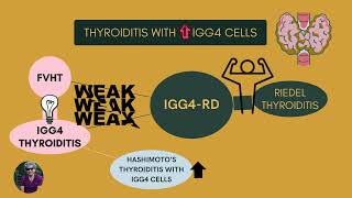 Relationship of IgG4related disease with thyroid entities [upl. by Westphal680]