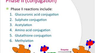 Phase II metabolism old recording similar to lecture 10 [upl. by Cosmo]