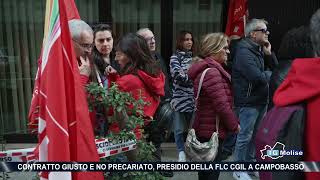 Contratto giusto e no precariato presidio della FLC Cgil a Campobasso [upl. by Aneleve]