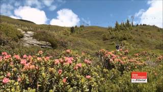 Zeitenblicke  Erste Ferienregion im Zillertal [upl. by Htebzil]