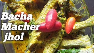 Bacha Macher jholBacha fish curryBacha Macher recipeBengali fish curryBacha Macher sorsa jhol [upl. by Lakin246]