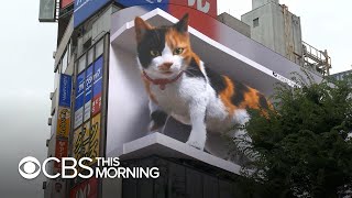 3D digital billboard image of a giant cat draws attention in Tokyo [upl. by Peter]