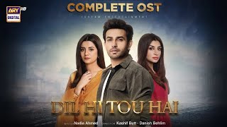 Dil Hi Tou Hai OST 🎶  Hassan Hayat Khan  Yashal Shahid  ARY Digital [upl. by Stannwood]