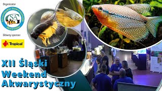 Dawno tego nie bylo OO wystawa akwarystyczna aquarium wysatwa aquascape [upl. by Heber]