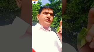 Kanton per chalne wale log 🤔vlogs shortvide🙂 [upl. by Hsital]