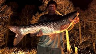 REELFOOT LAKE BOW FISHING [upl. by Adirem]