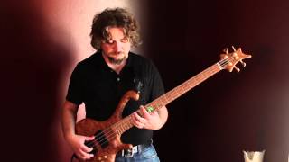 The Neunaber WET Reverb on Bass Aram Bedrosian [upl. by Suisyola]