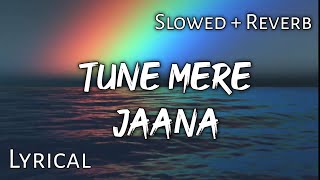 Tune Mere Jaana   Slowed  Reverb  Lyrics  Use Headphones 🎧🎧 [upl. by Pernick]