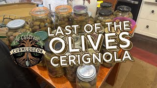 Cerignola Olive bottling [upl. by Namhcan]