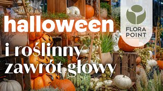 Halloweenowe dekoracje i strasznie piękne rośliny domowe  przegląd nowości  Flora Point [upl. by Perlman200]