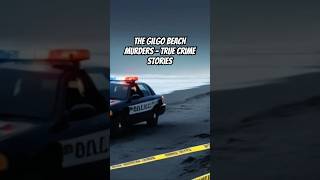 The Gilgo Beach Murders  True Crime Stories truecrimeshorts truecrimestories bestcrimestories [upl. by Neiviv]