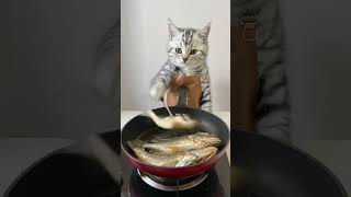 The cats skill in frying fish is amazing I actually lost to a cat Fantastic animals on TikTok [upl. by Naujahs]