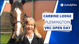 🇦🇺 Godolphin Carbine Lodge  Flemington VRC Open Day 2024 [upl. by Nawj972]