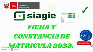 FICHA Y CONSTANCIA DE MATRICULA 2023 [upl. by Nahs823]