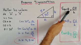 Ejercicio de Razones Trigonométricas  Trigonometría [upl. by Ogdan73]