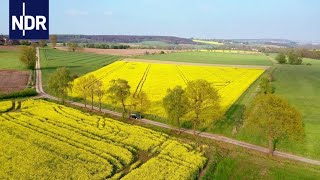 Wenn der Frühling kommt  die nordstory  NDR [upl. by Odlopoel786]