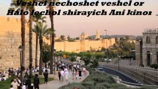 Yerushalaim Shel Zahav  Leonardo Gonçalves [upl. by Anhcar67]