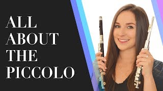 All About The Piccolo  Best Piccolos for Beginners  How To Choose A Piccolo [upl. by Recneps]