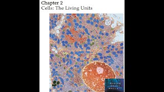 Chapter 2 part 1 Plasma membrane Human Anatomy 9th Editionby Elaine N Marieb Patricia M Brady [upl. by Talyah132]