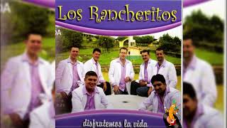 Los Rancheritos  Merengue Campesino [upl. by Chita260]