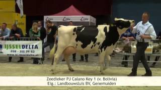 Wintershow Zwolle zwartbont [upl. by Ojiram471]