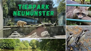 Zoo Neumünster  Tierpark ganz im Norden mit Eisbär und Co  Wie ist unser Fazit nach dem Rundgang [upl. by Rennug945]