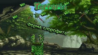 Как сделать ХЛОРОФИТОВУЮ ФЕРМУ в TerrariaAndroidIOSPC [upl. by Neraa280]