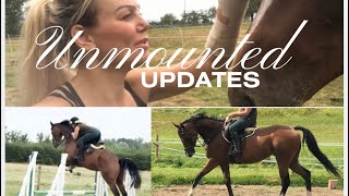 UPDATES  unmounted due to injury Vlog 15 [upl. by Ative623]