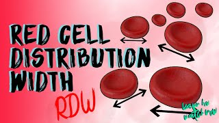 Understand Red Cell Distribution Width  RDW  RDW  CV  RDW  SD [upl. by Siurad]