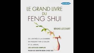 Livre Audio LE GRAND LIVRE DU FENG SHUI de Bruno LECOURT [upl. by Refinne]