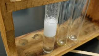 Hydrochloric Acid and Magnesium What do you see when you react HCl and Mg [upl. by Sneed]