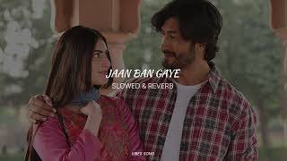 Jaan Ban Gaye SLOWED amp REVERB  Vibes Song [upl. by Otrebire]