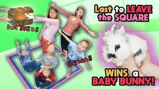 Last To Leave The SQUARE WINS Cute BABY BUNNY Tannerites Last To Leave Game [upl. by Mas]